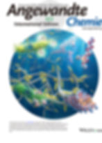 Angew Chem Int Ed - 2025 - Yaguchi - Inside Front Cover A Photoresponsive Hybrid of Virus