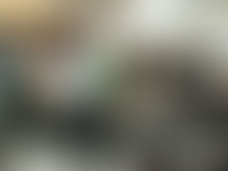 פרקטיקה, השכלה פיננסית ומה שביניהם