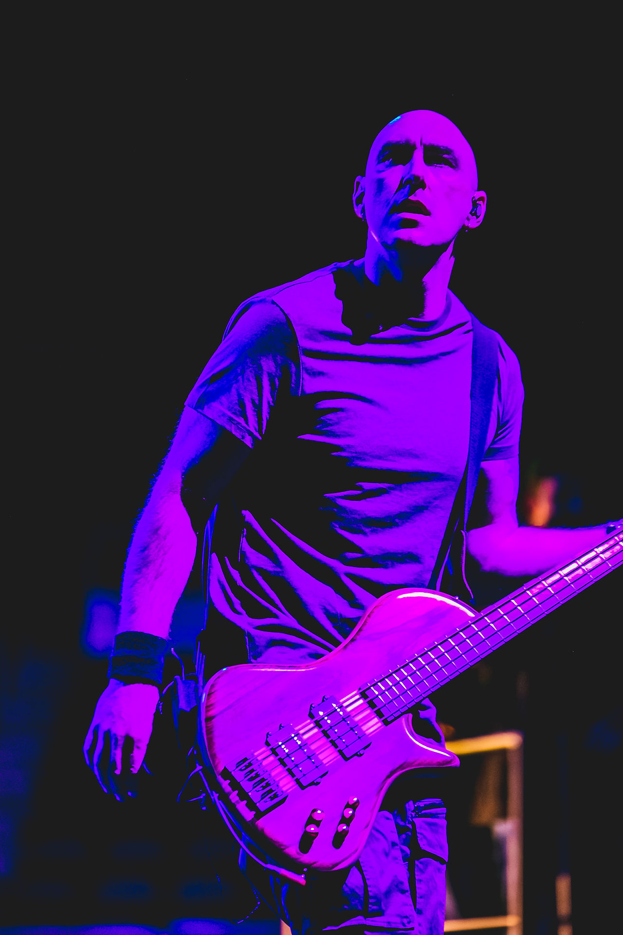 Breaking Benjamin 24