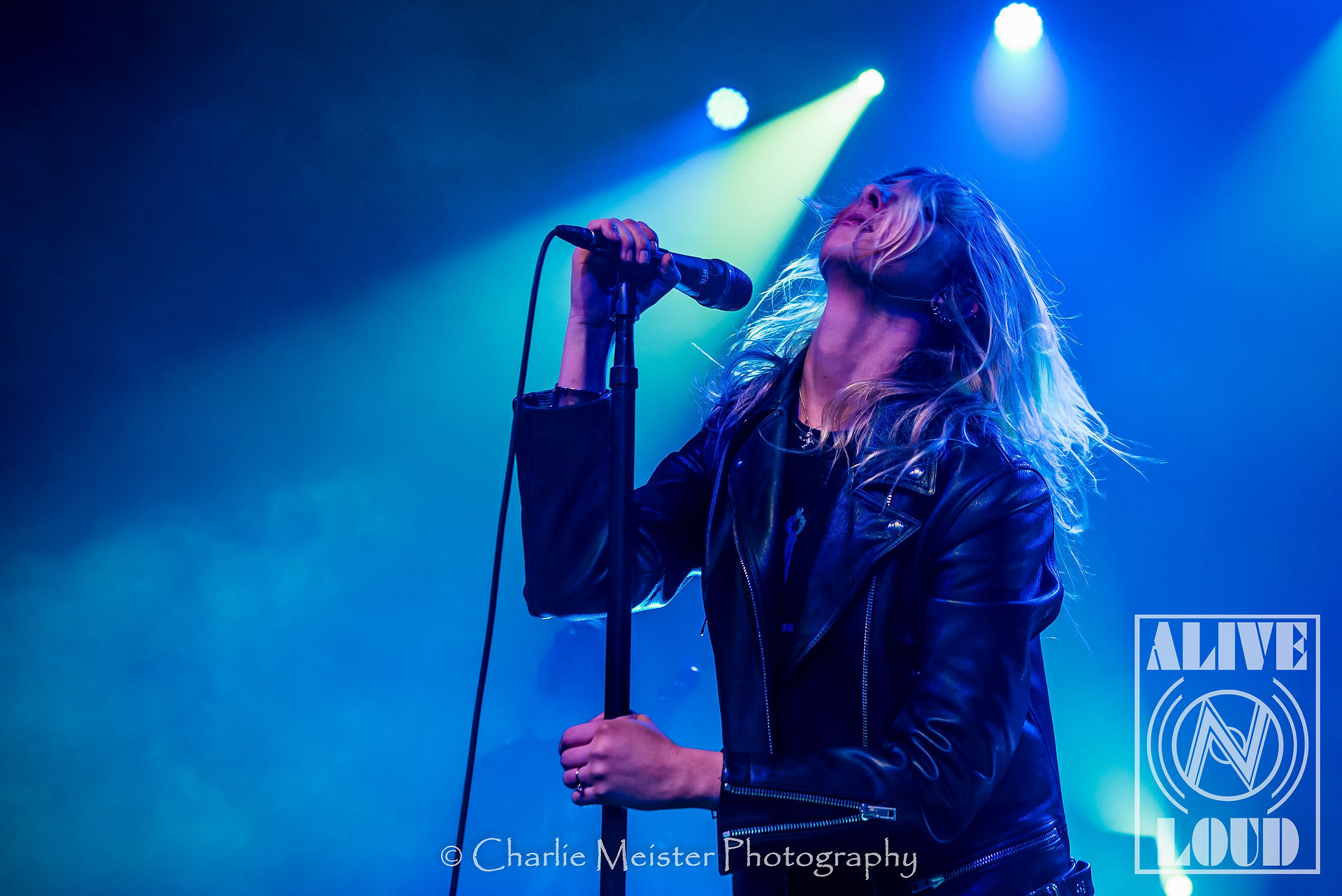 The Pretty Reckless