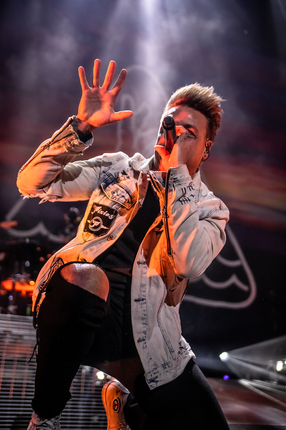 Papa Roach 5