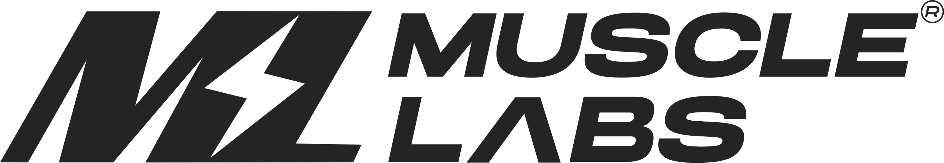 ml logo in white.png
