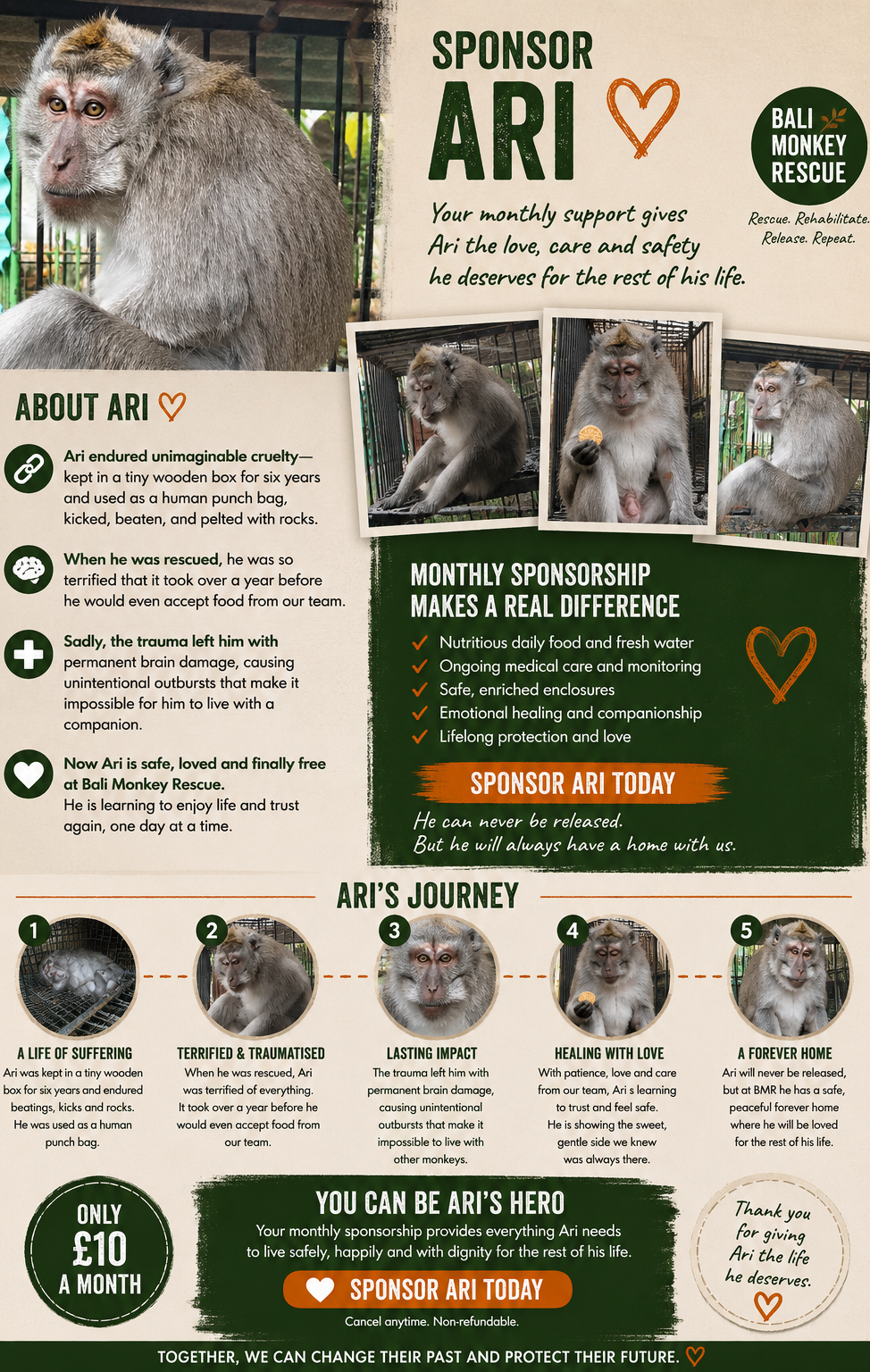 Ari sponsor page.png