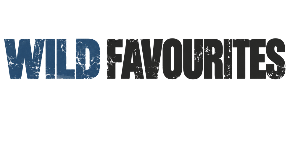Wild Favourites Distressed Typography.png