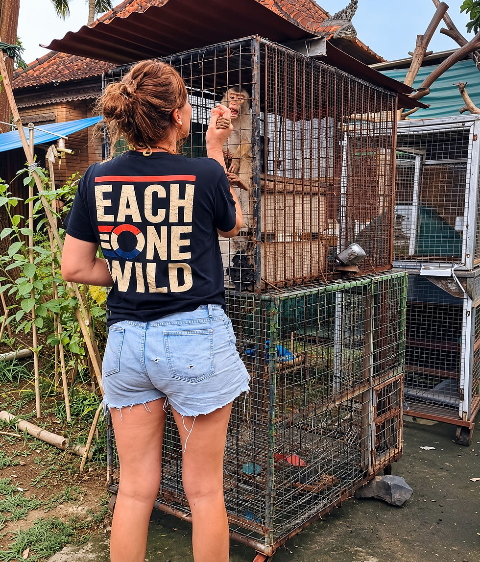 Woman stood next to monkey enclosure
