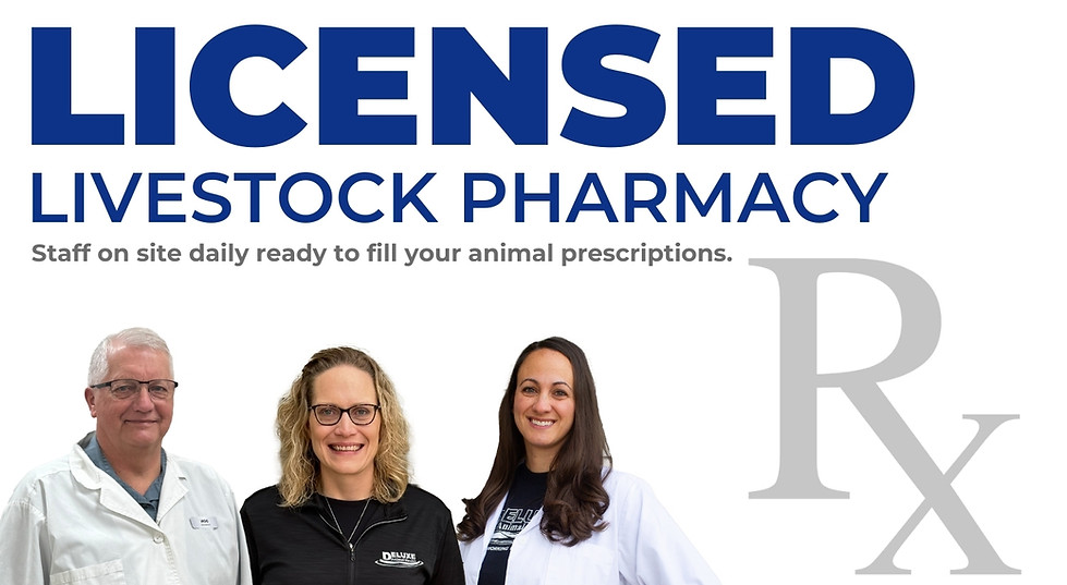 Who We Are 8.15.25.jpg