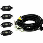 LED Rock Light Kit
