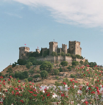 Castillo_de_Almodóvar_del_Río_2009.jpg