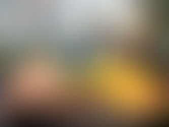 The Agricultural Revolution in Al-Andalus