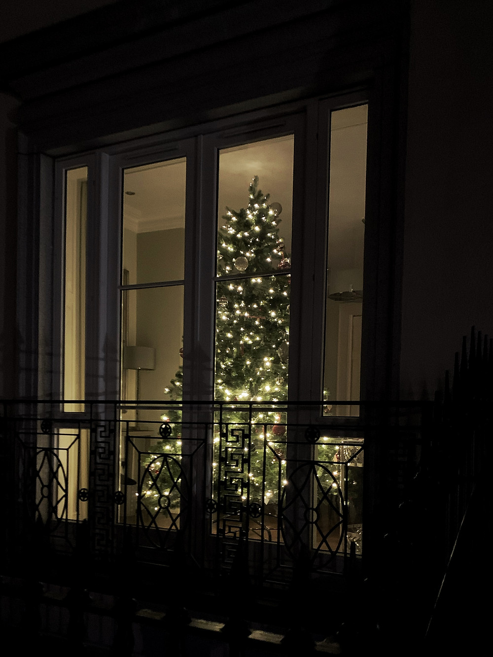 Ecofriendly christmas tree options