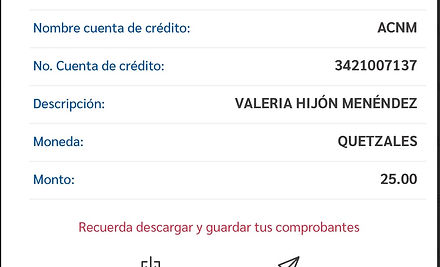 Ejemplo Boleta.jpg
