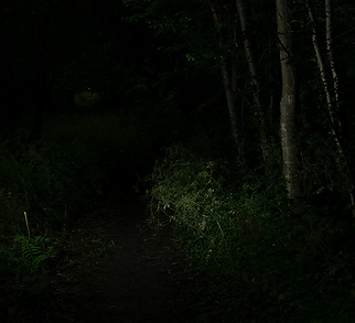 Dim path
