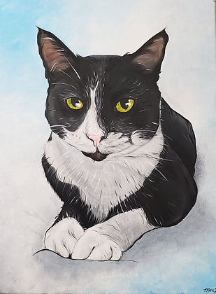 Black and White Cat Portrait.jpg