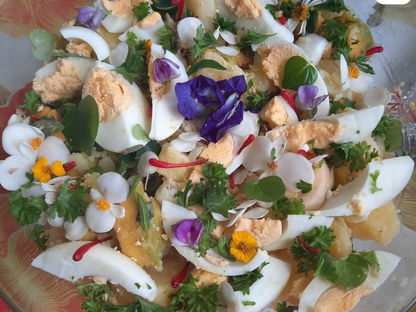 salade de pommes de terre, avocat et œufs aux herbes et fleurs du jardin