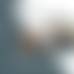 Auditoria Interna na Instech de Paranaguá