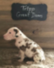 Anna (4).jpeg