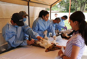 2-medical-care