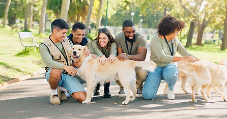 Dog-care-scaled.jpeg