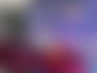 Veracruz invita a hidalguenses a disfrutar del Costa Esmeralda Fest 2024 
