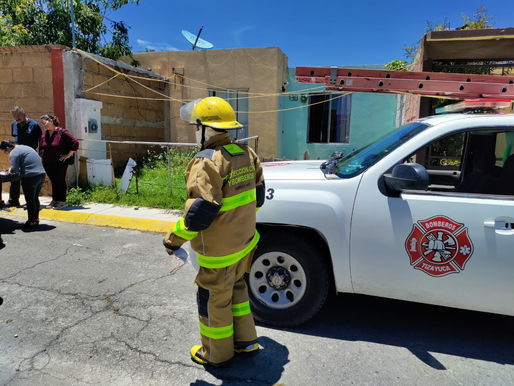 Rescatan a perritos sin vida tras cateo en Tizayuca