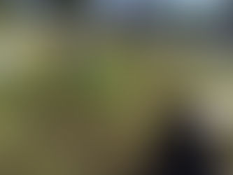 REALIZAN FAENA DE LIMPIEZA EN RANCHO DON ANTONIO, QUMA, TIZAYUCA