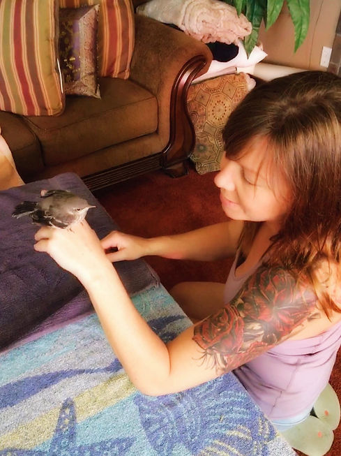 Jill Benes with Mozart the Mockingbird.JPG