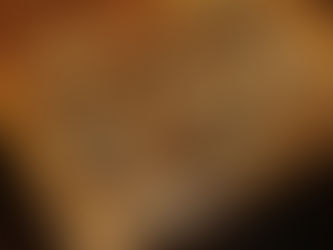 List of Items Professional Removalists Won’t Move