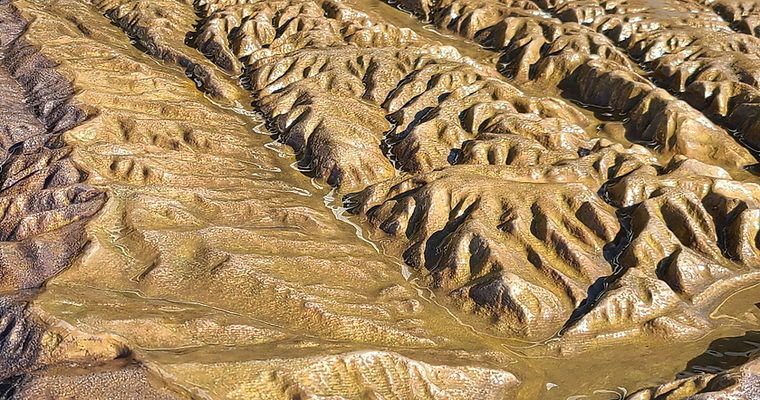 los penasquitos bronze watershed model.jpg