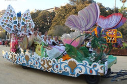 36 Mariposas desfilando