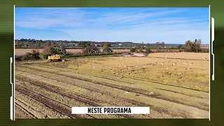 Vista aérea de um arrozal. Legenda na imagem: Neste episódio