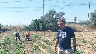 Plano geral de uma cena agrícola, várias pessoas trabalham e um homem adulto em destaque à direita da imagem
