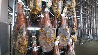 Presuntos a secar numa estrutura de metal