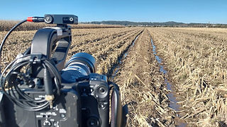 Pormenor de camera de filmar apontada a um campo de arroz.
