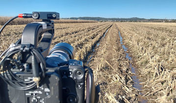 Faça Chuva Faça Sol na colheita de arroz e milho