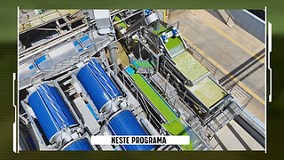 Vista aérea de grandes máquinas agrícolas de colheita de um produto agrícola verde