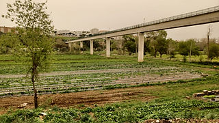 Campos agrícolas com sementeiras, ao longe um viaduto de autoestrada. 