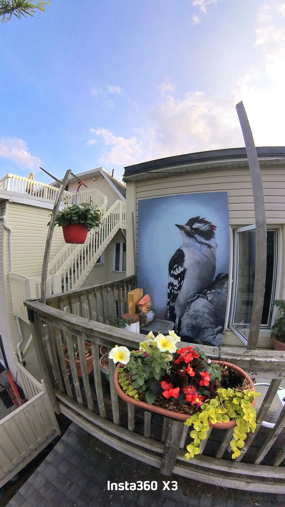 Bird spray