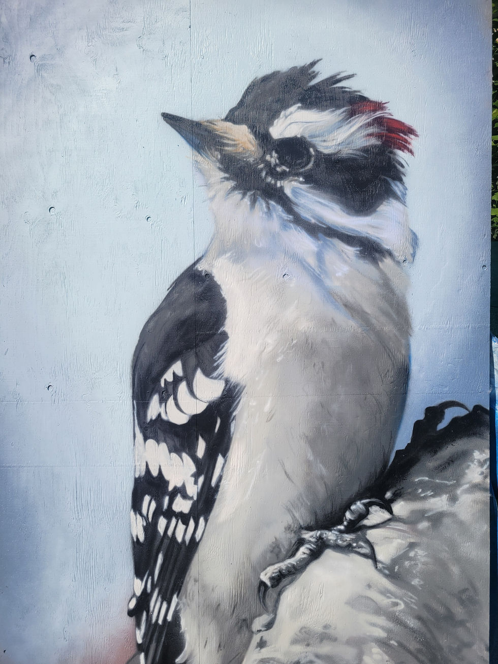 Bird spray