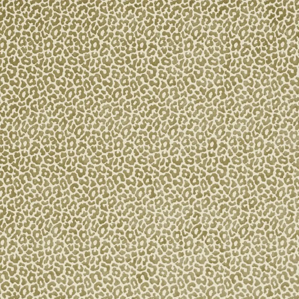 Thumbnail: Madeleine Velvet