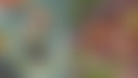 Mindful Eating: What it is and How it Can Help You Achieve Your Health Goals