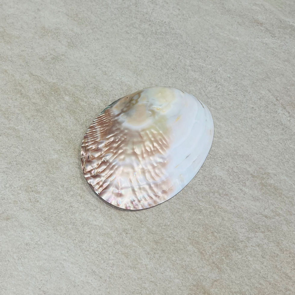 Miniature : Plateau pour bijoux - Coquillage