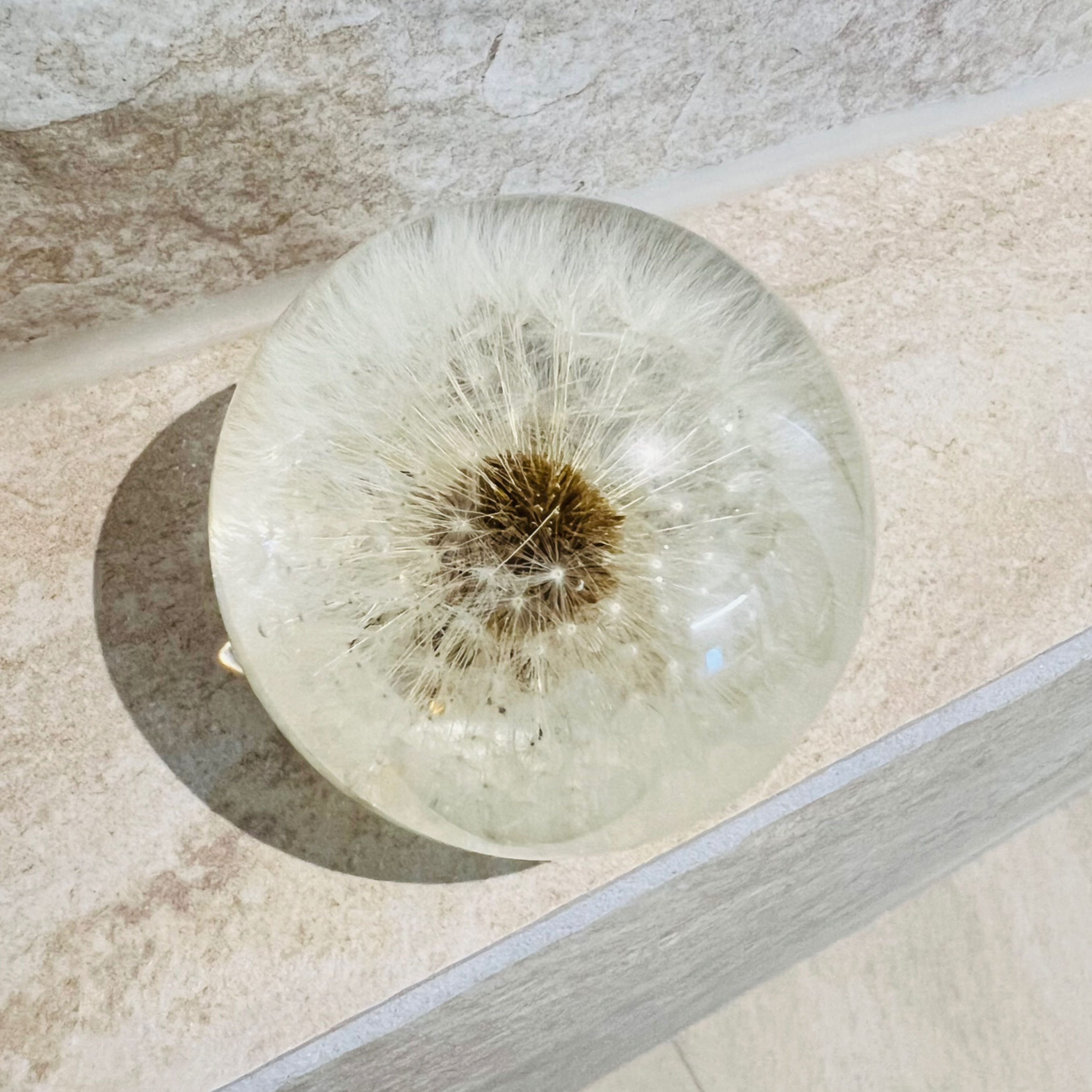 Boule Pissenlit Naturel