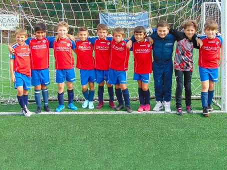 Pulcini 2015