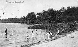 1911.jpg