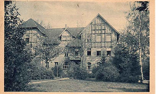 1166.jpg