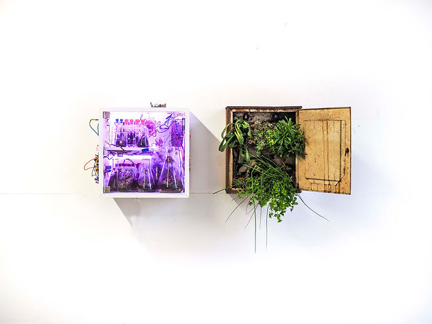 1. Nature Nurture - install 1a.jpg