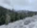 IMG_1409.JPEG