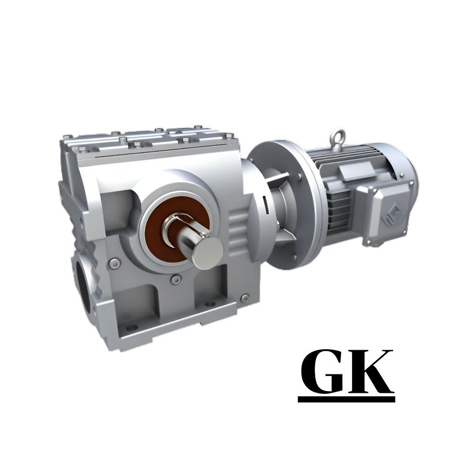 Helical-Bevel Gear Motor K Series