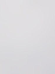 HORIUCHI MIRROR × RICO Cosmetics 新春キャンペーン