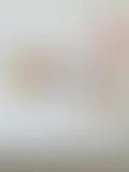 2025年ホリデーキャンペーン